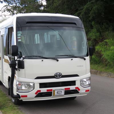 Toyota Coaster